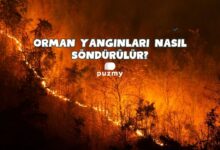 Orman Yangınları Nasıl Söndürülür