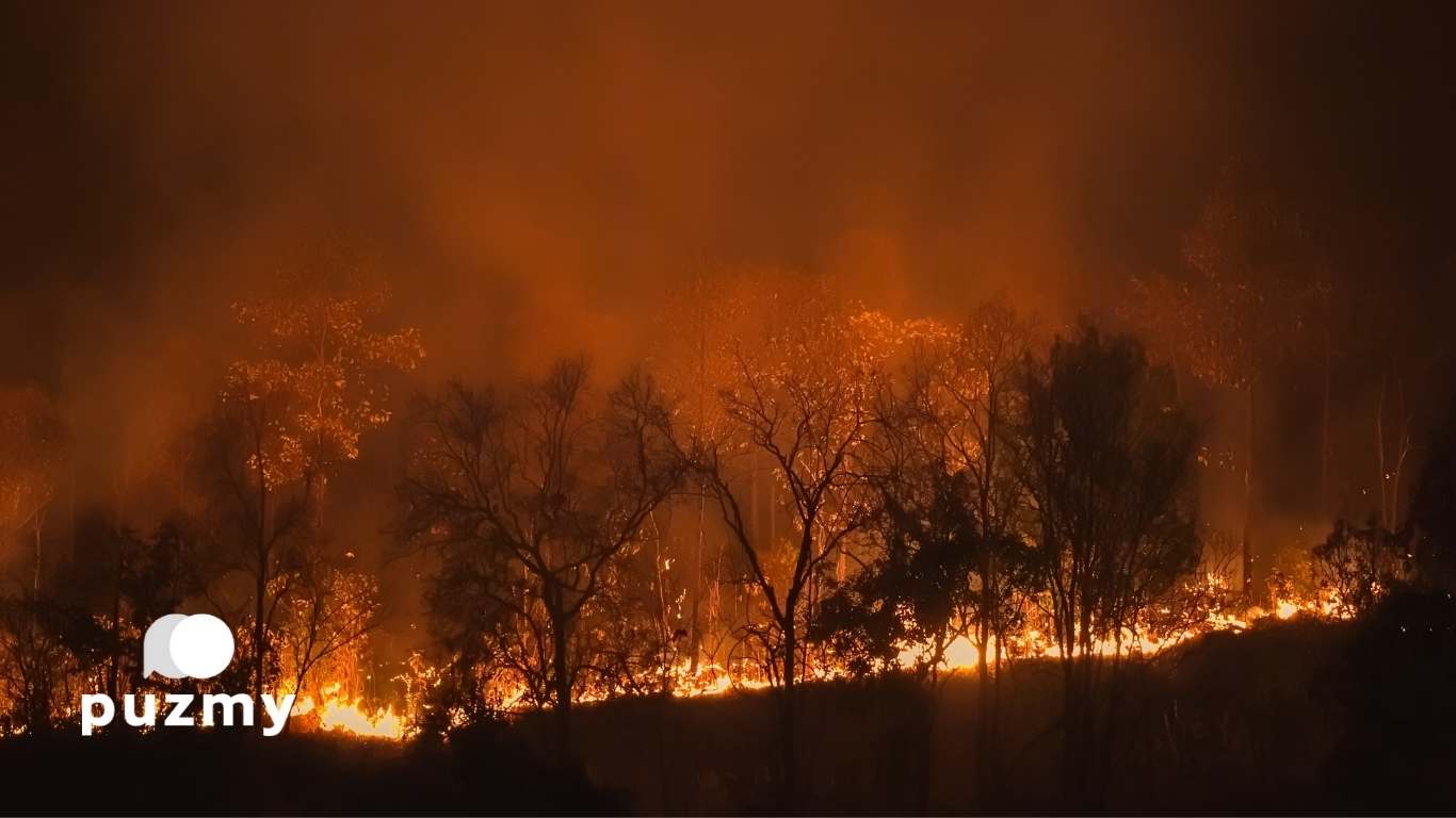 Orman Yangınları Neden Çıkar Önlenebilir Felaketler Midir